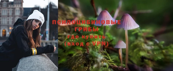 бутират Алзамай