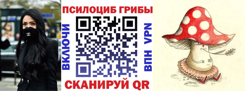 MEGA как войти Осинники Галлюциногенные грибы Cubensis