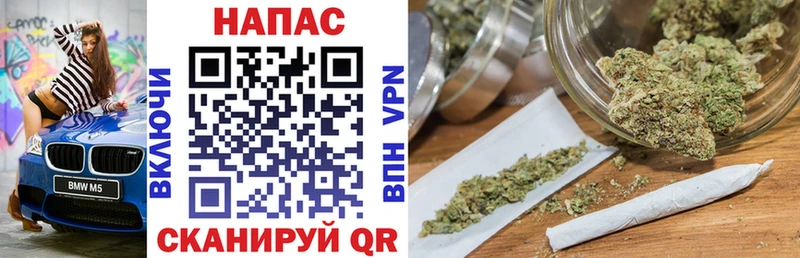 закладка  Осинники  Шишки марихуана ГИДРОПОН 